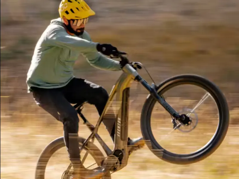 Ramblas Ebike7